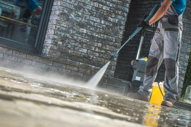 Best Animal Enclosure Cleaning  in Robbins, IL