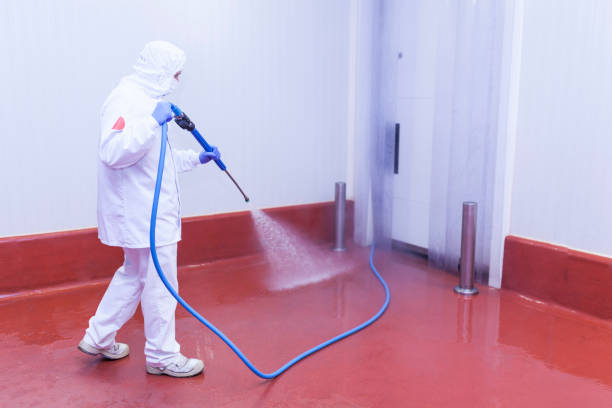 Best Building Exterior Washing  in Robbins, IL