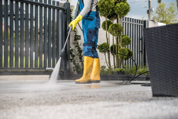 Best Driveway Pressure Washing  in Robbins, IL